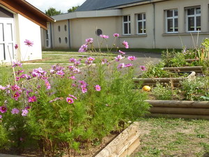 Ecole-cantine 03_redimensionner