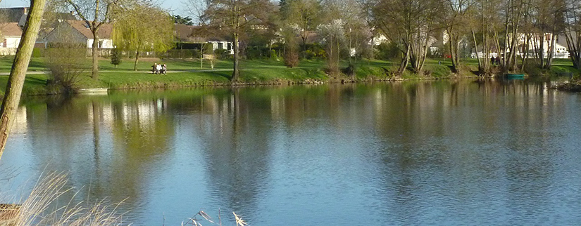 Les bords de Sarthe