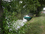 Chemins promenade petit